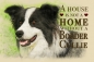 Preview: Nostalgieschild - Hundeschild im Retrostil Motiv: Border Collie #2